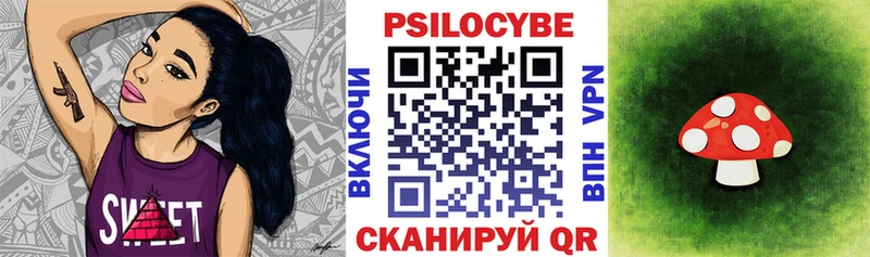 наркошоп  Муром  kraken ССЫЛКА  Псилоцибиновые грибы Psilocybe 